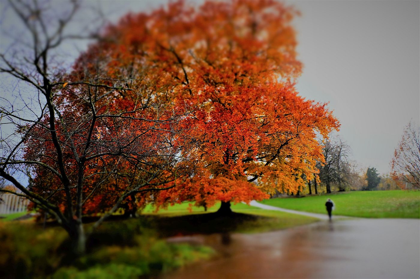 Stadtpark Killesberg